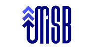 MSB IT